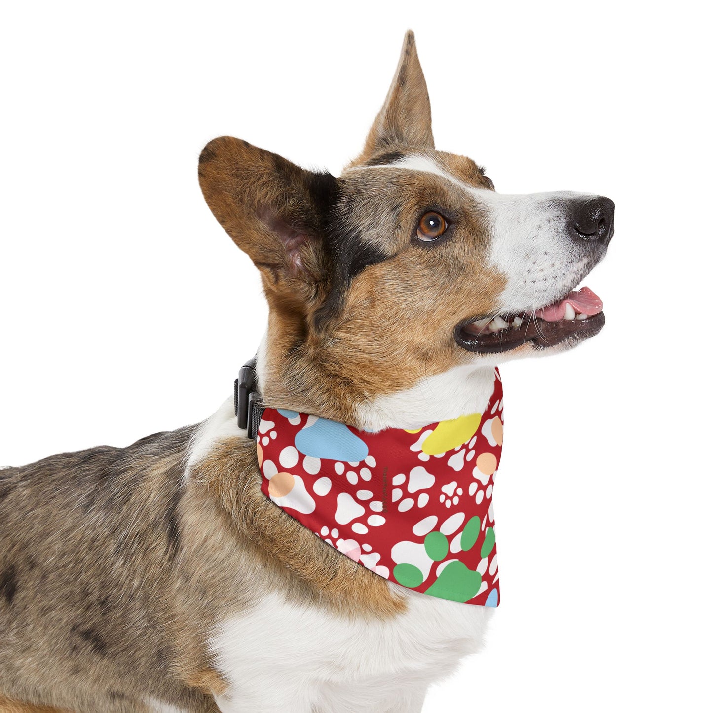 Pet Bandana Collar - Strength