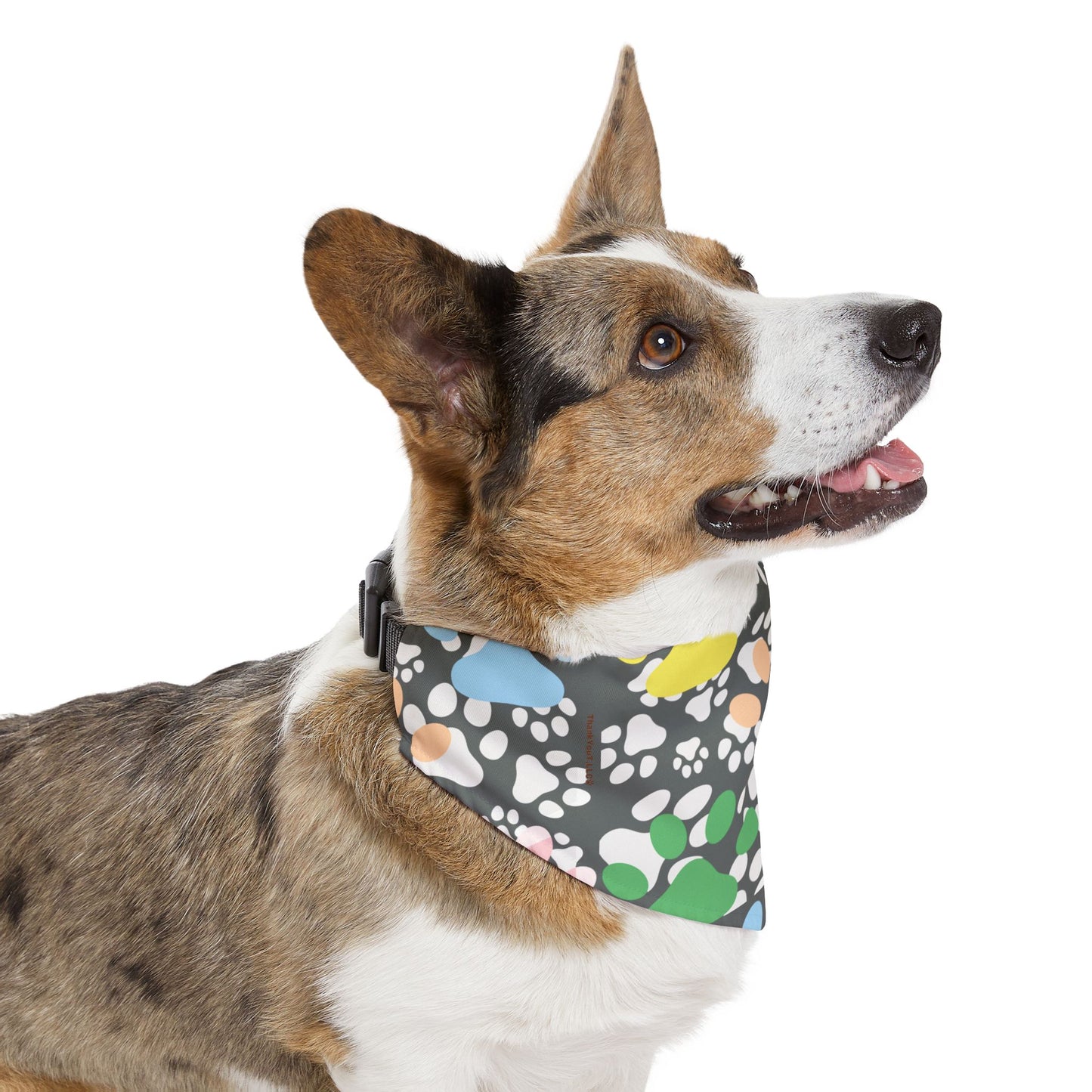 Pet Bandana Collar - Wisdom