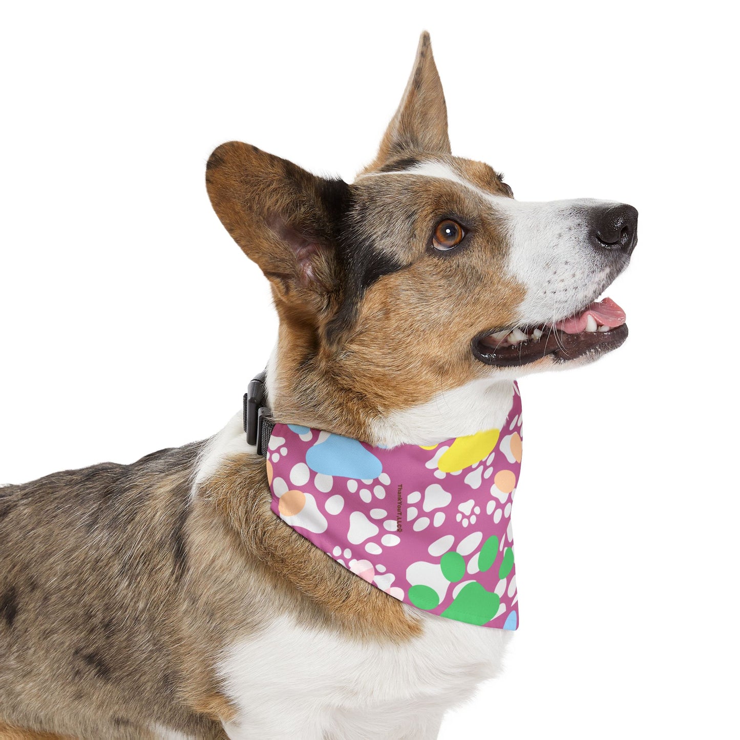 Pet Bandana Collar - Cheeky