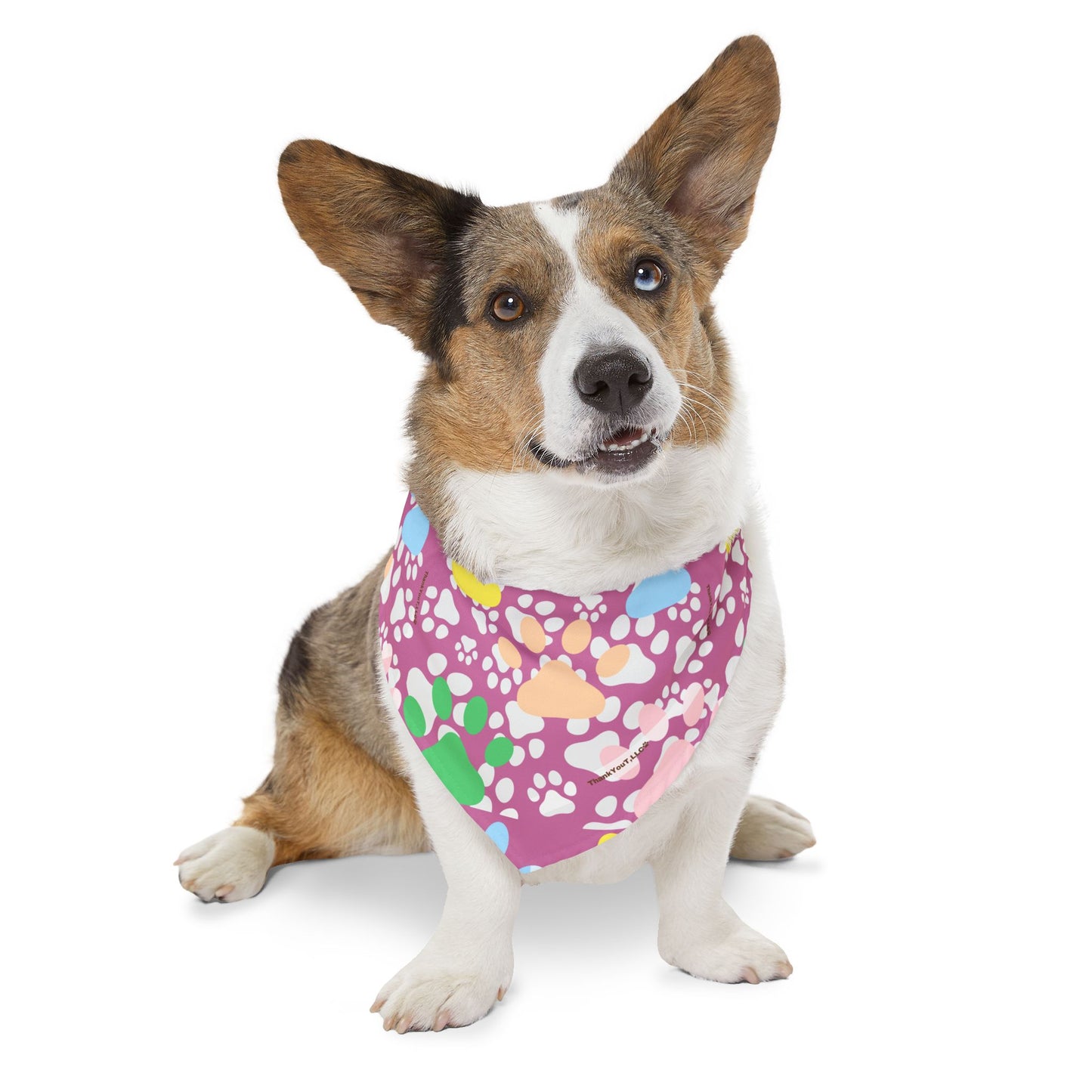 Pet Bandana Collar - Cheeky