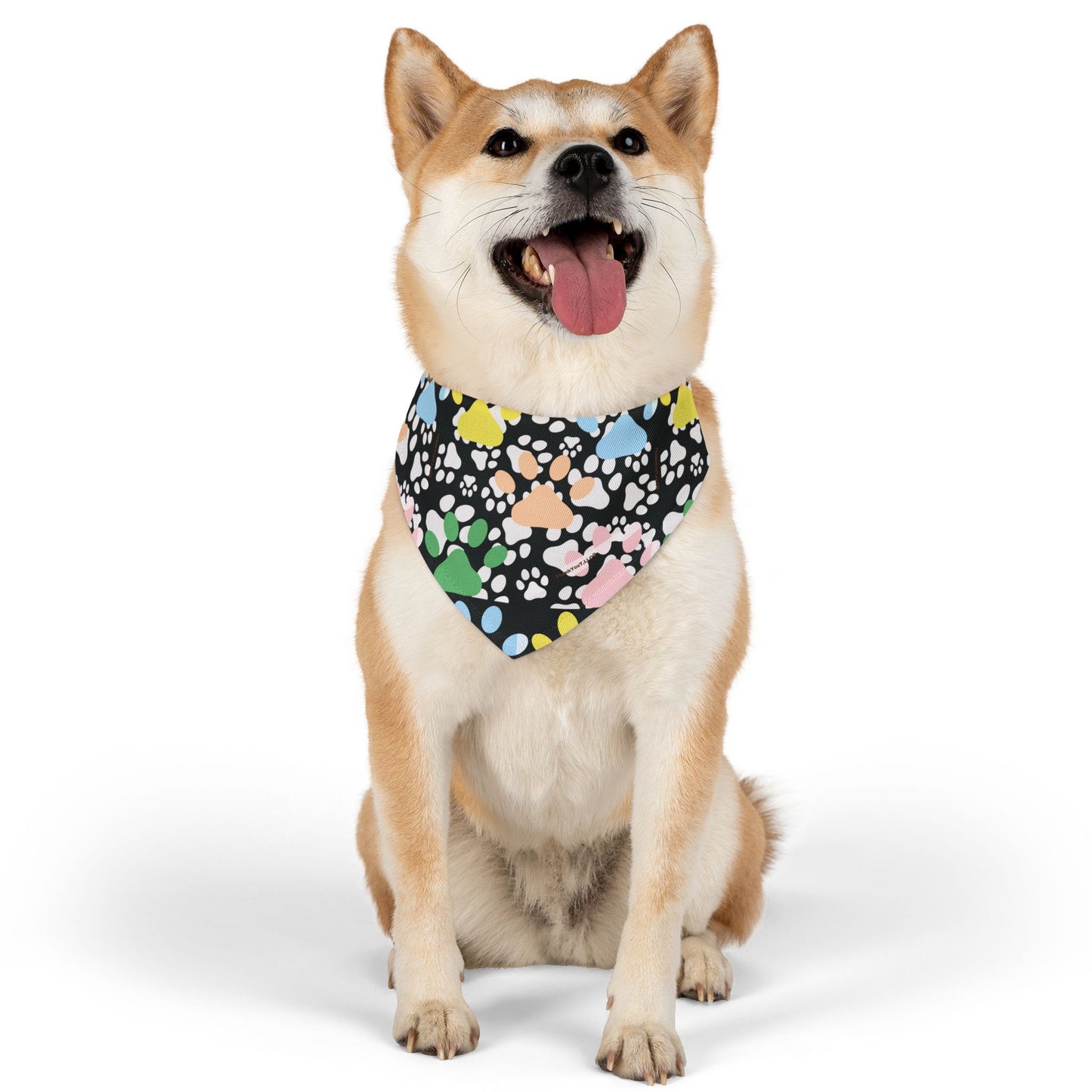 Pet Bandana Collar - Success