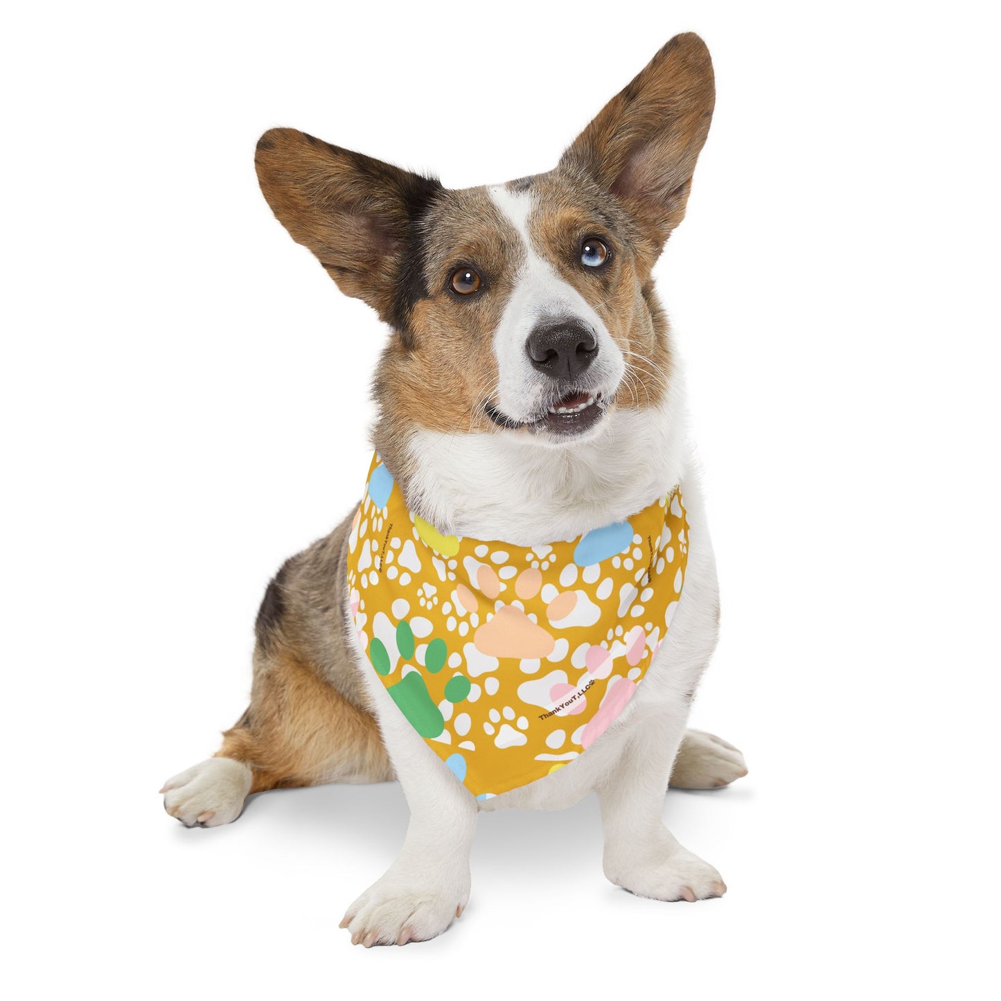 Pet Bandana Collar - Sunny