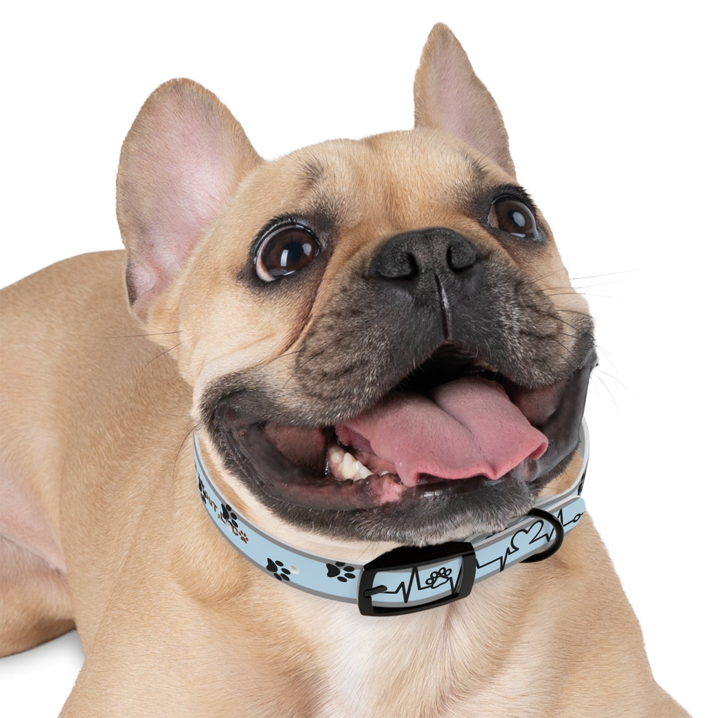 Pet Collar