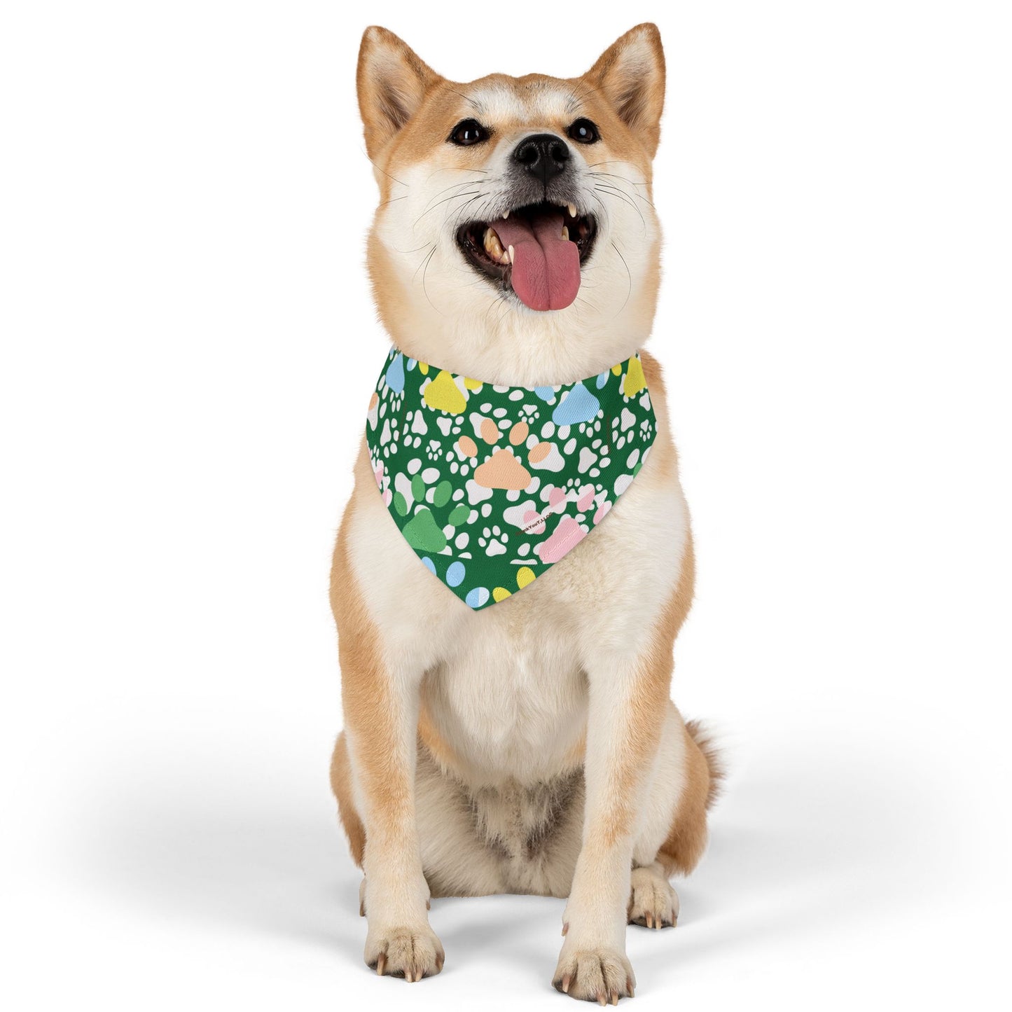 Pet Bandana Collar - Wealth