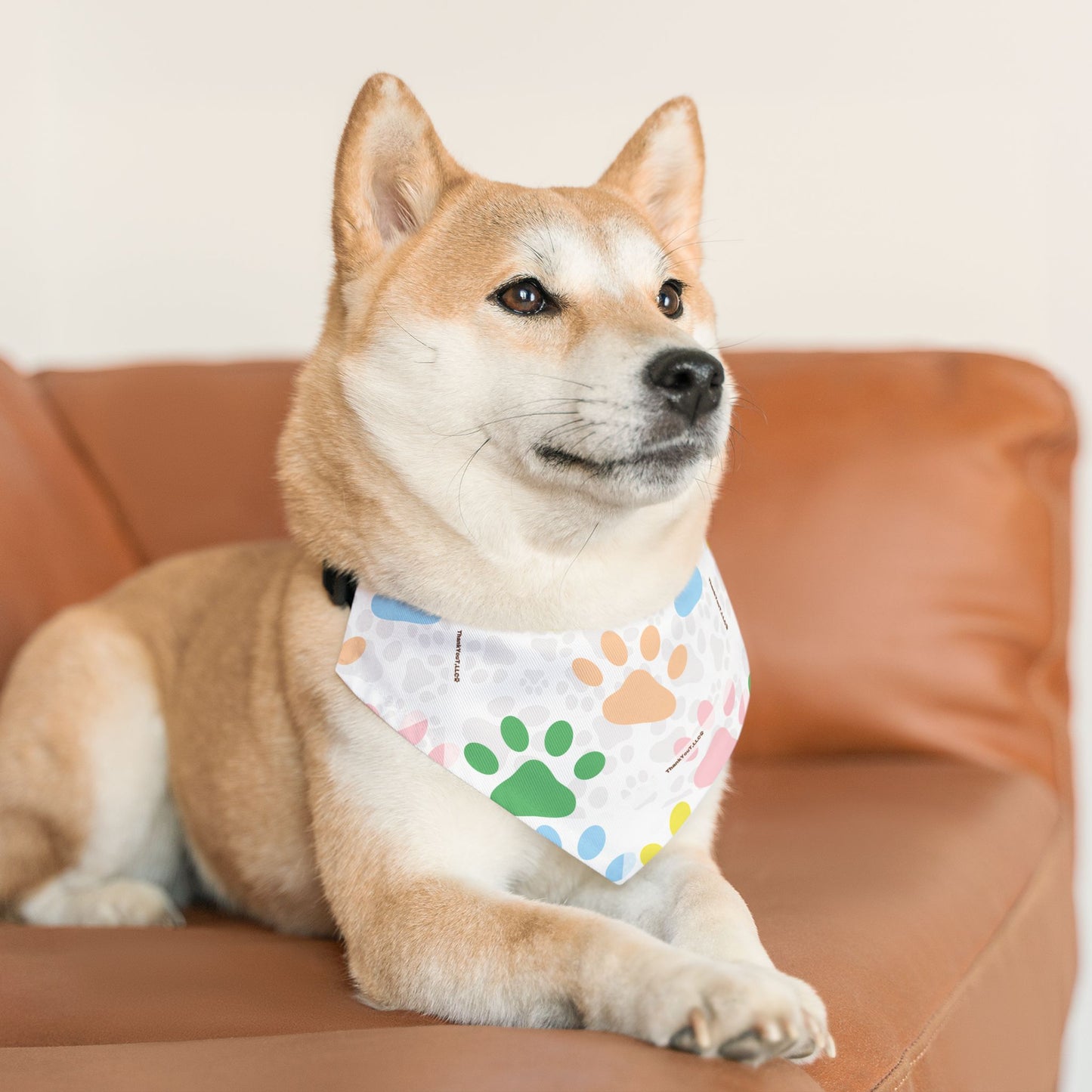Pet Bandana Collar - Refresh