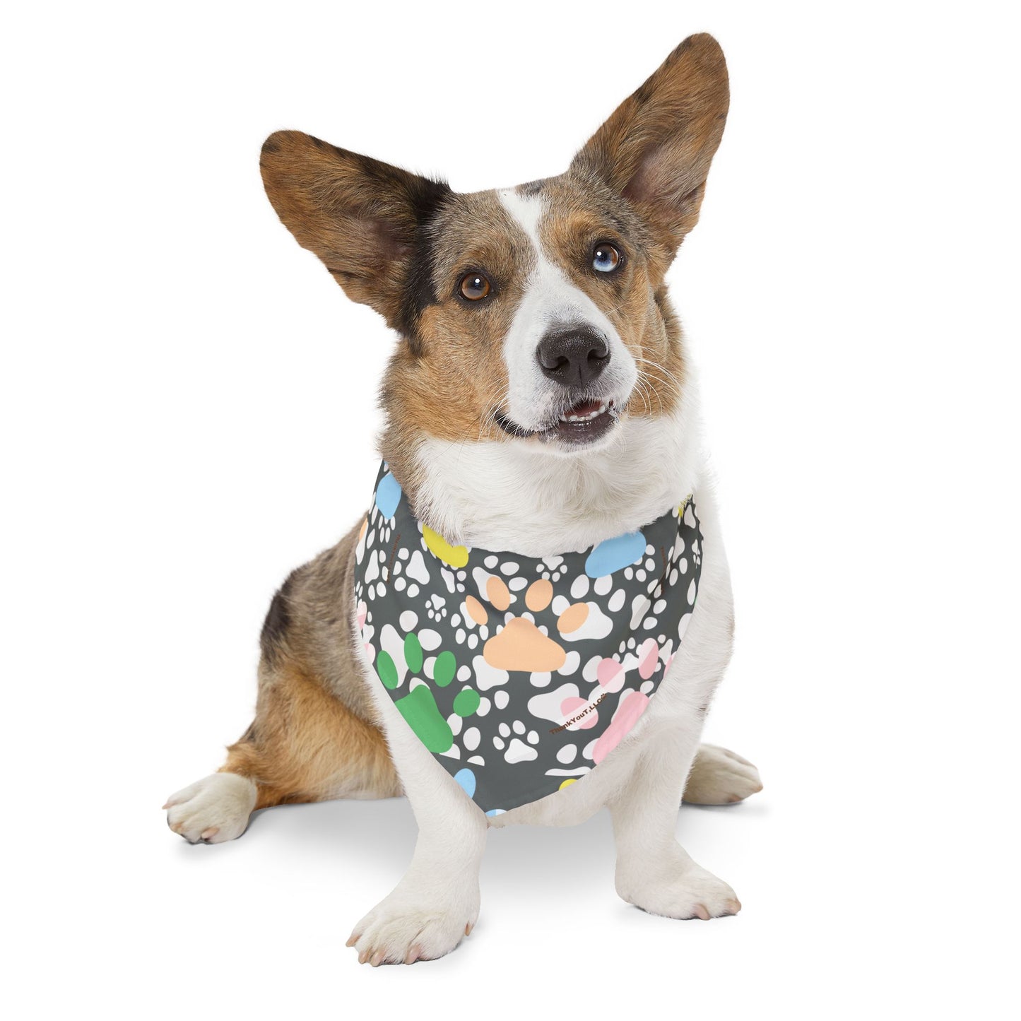 Pet Bandana Collar - Wisdom