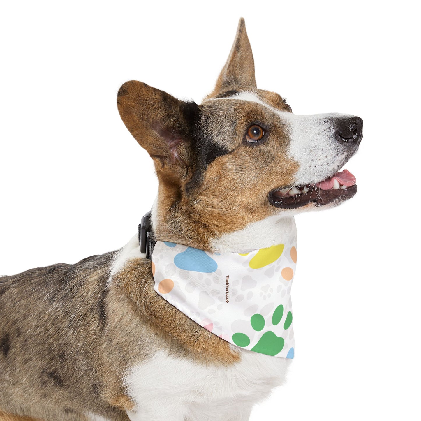 Pet Bandana Collar - Refresh
