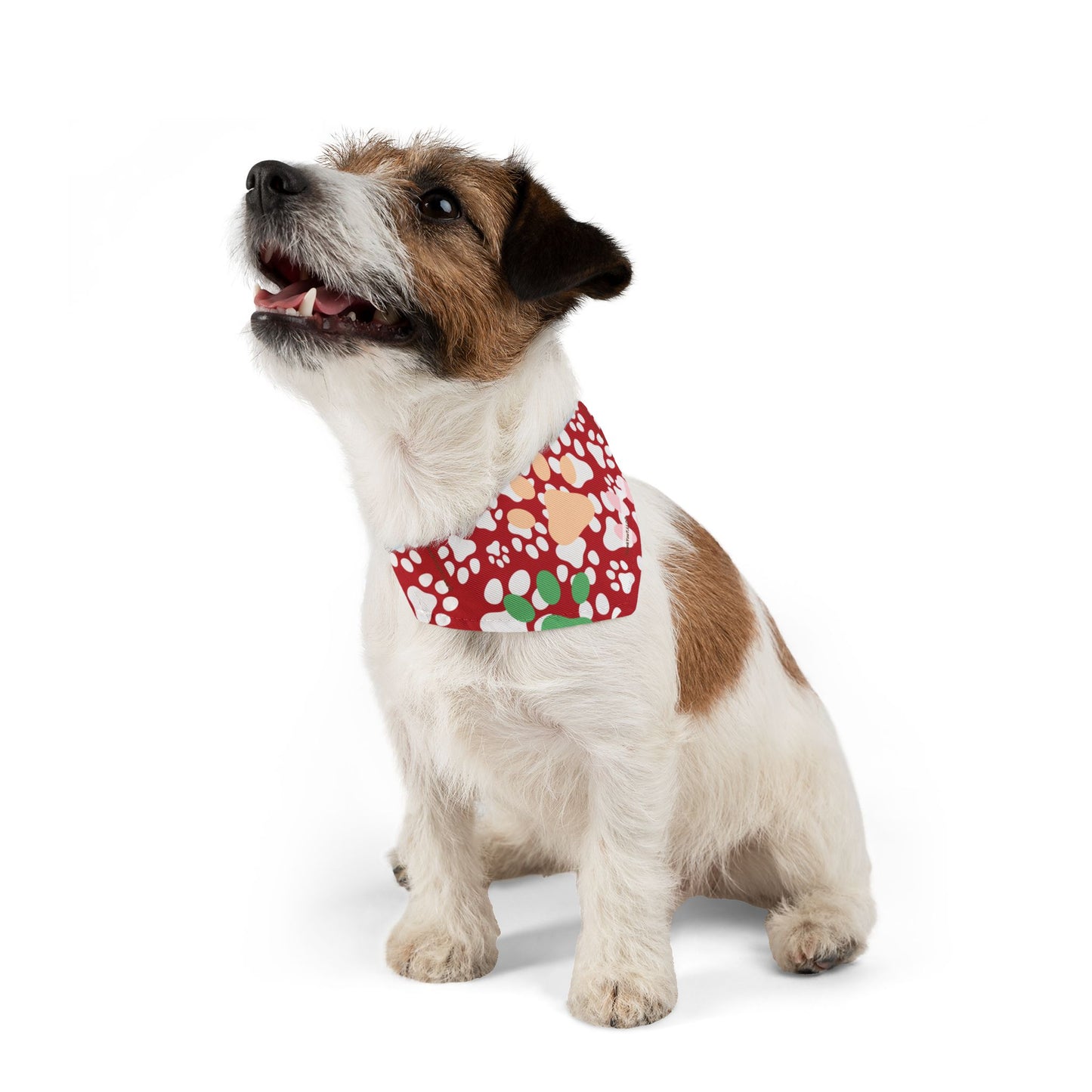Pet Bandana Collar - Strength