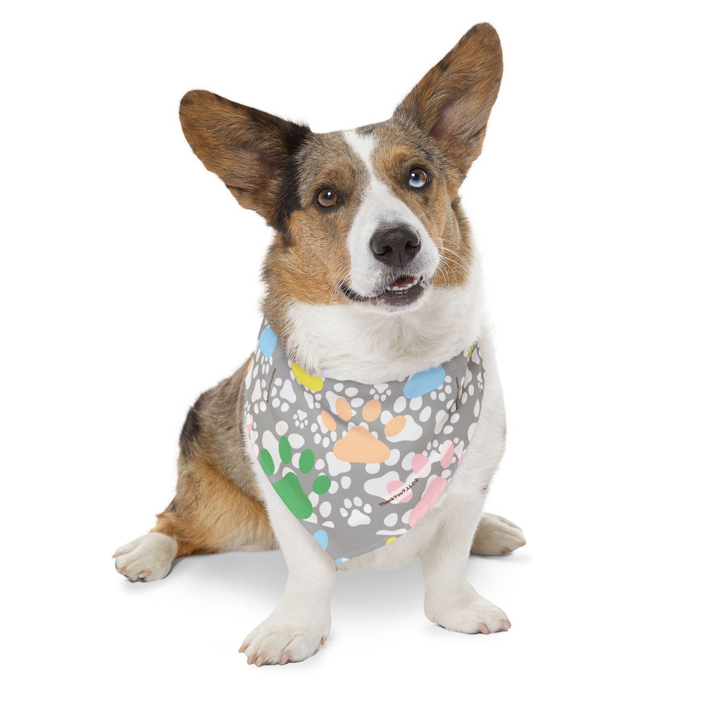 Pet Bandana Collar - Light Wisdom