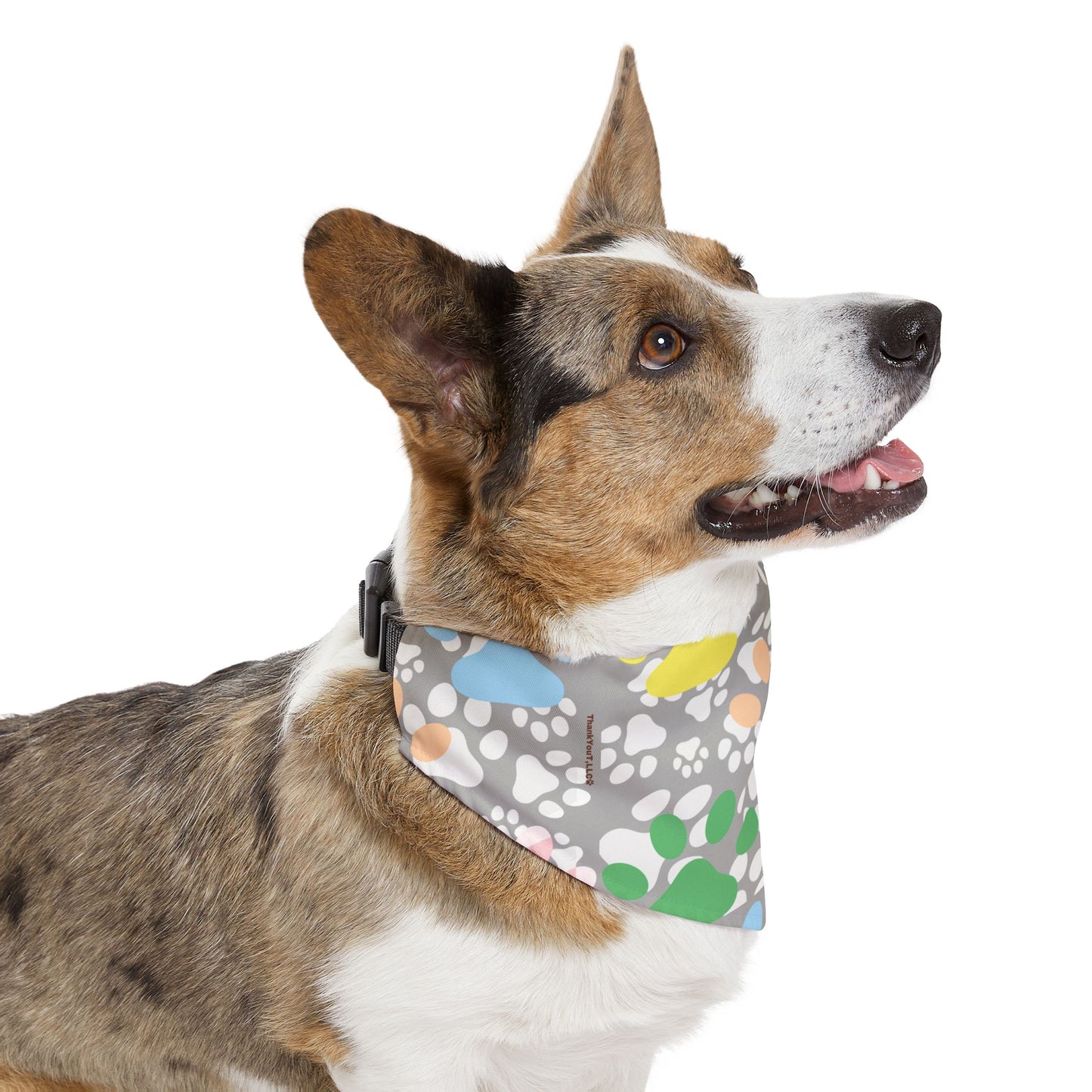 Pet Bandana Collar - Light Wisdom