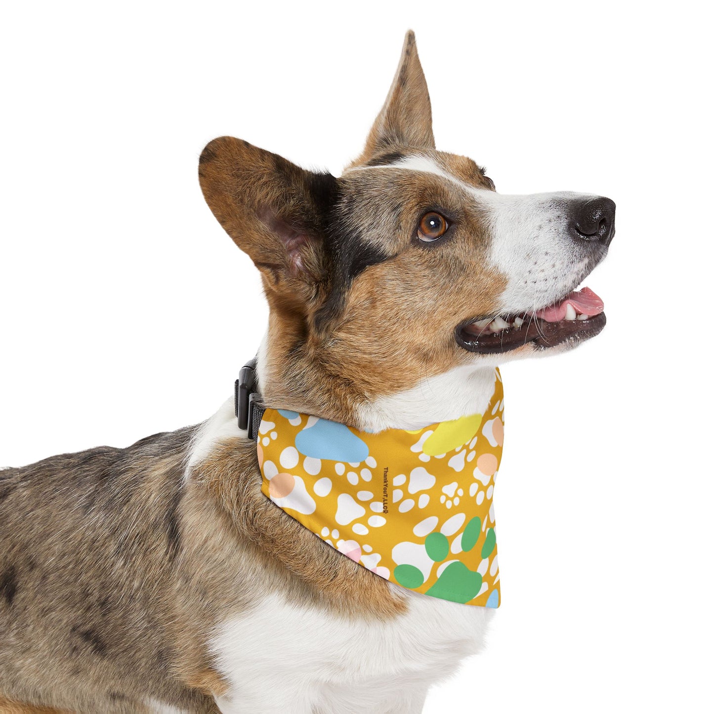 Pet Bandana Collar - Sunny