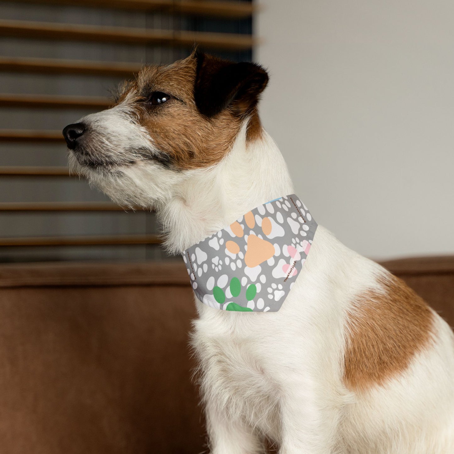 Pet Bandana Collar - Light Wisdom