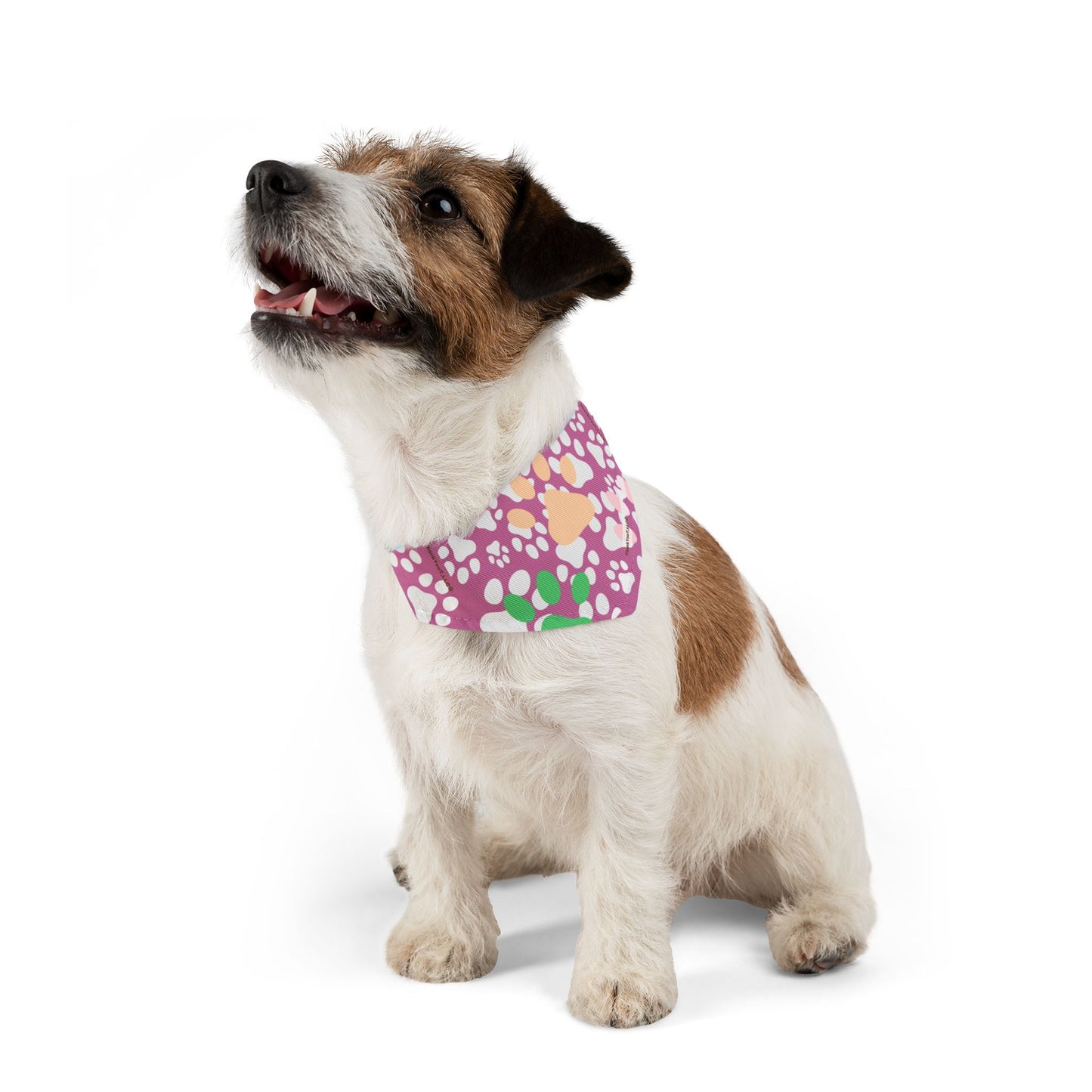 Pet Bandana Collar - Cheeky