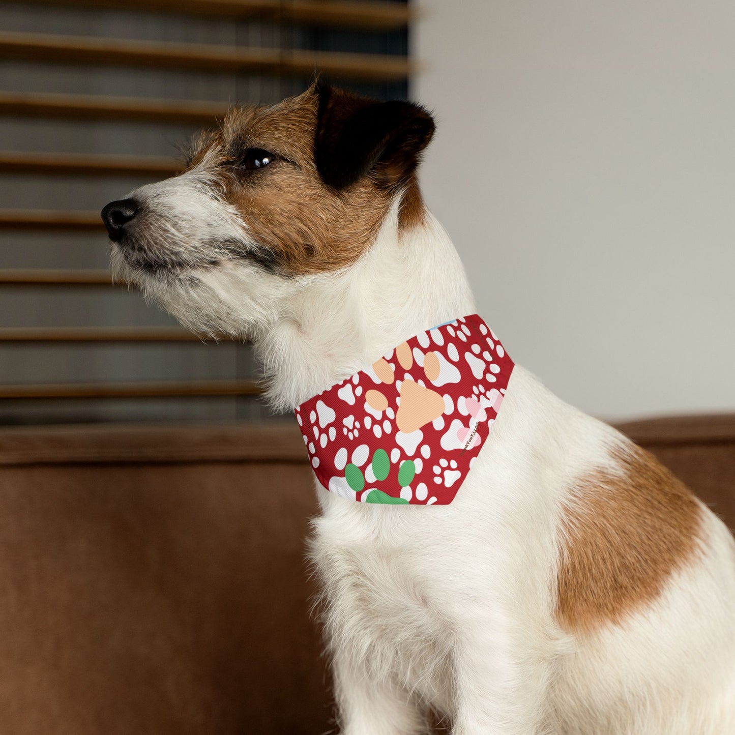 Pet Bandana Collar - Strength