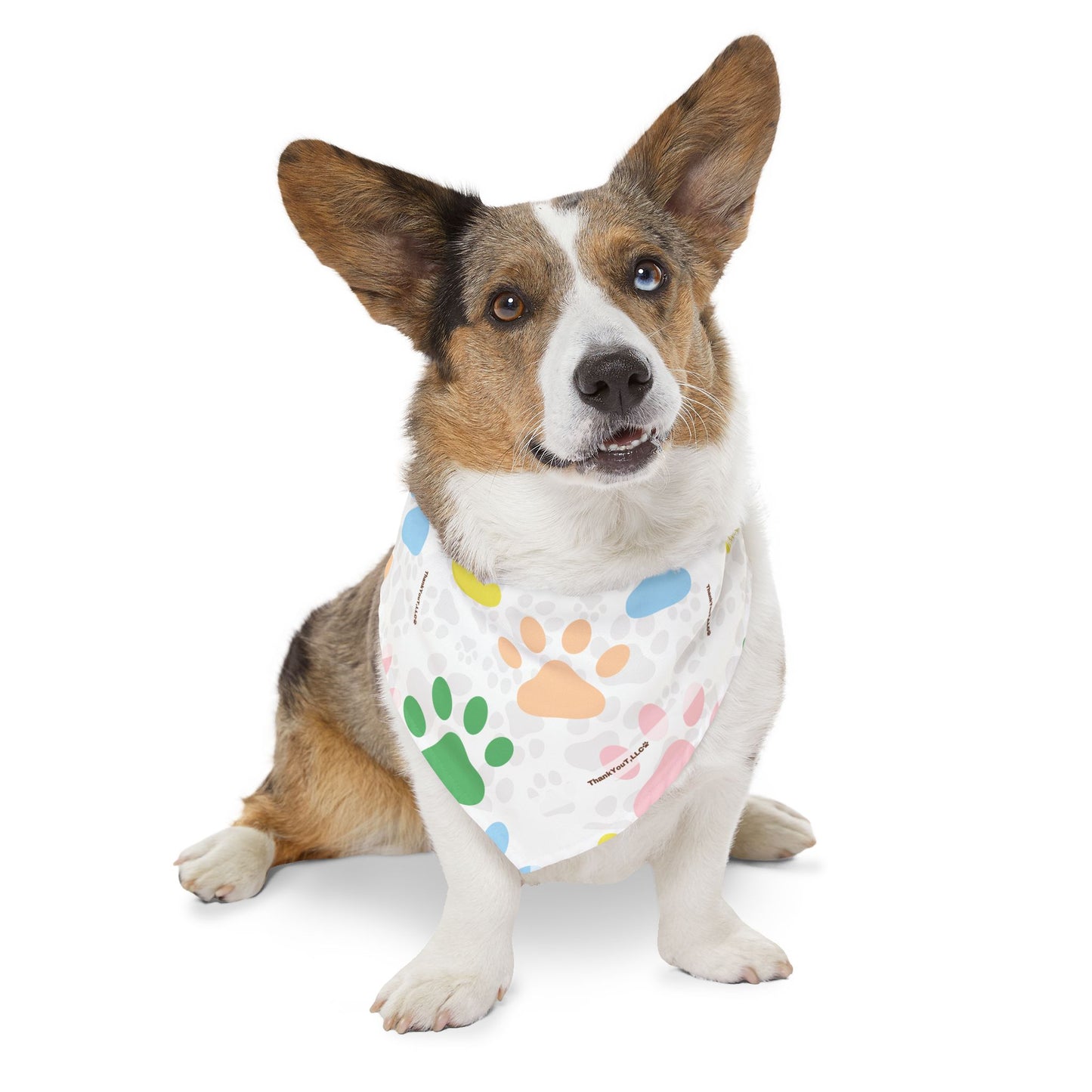 Pet Bandana Collar - Refresh