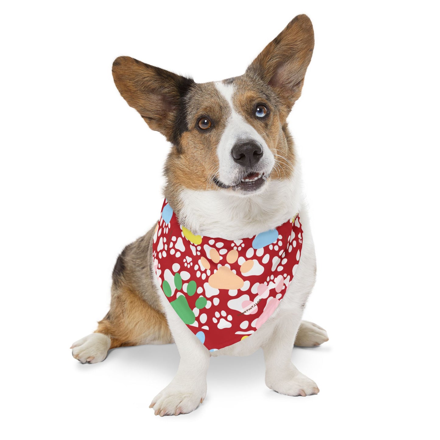 Pet Bandana Collar - Strength