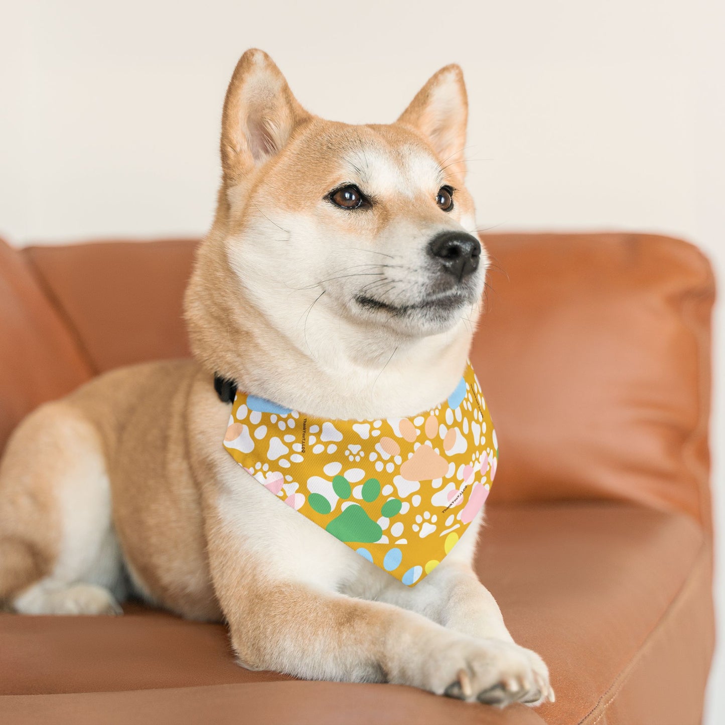 Pet Bandana Collar - Sunny