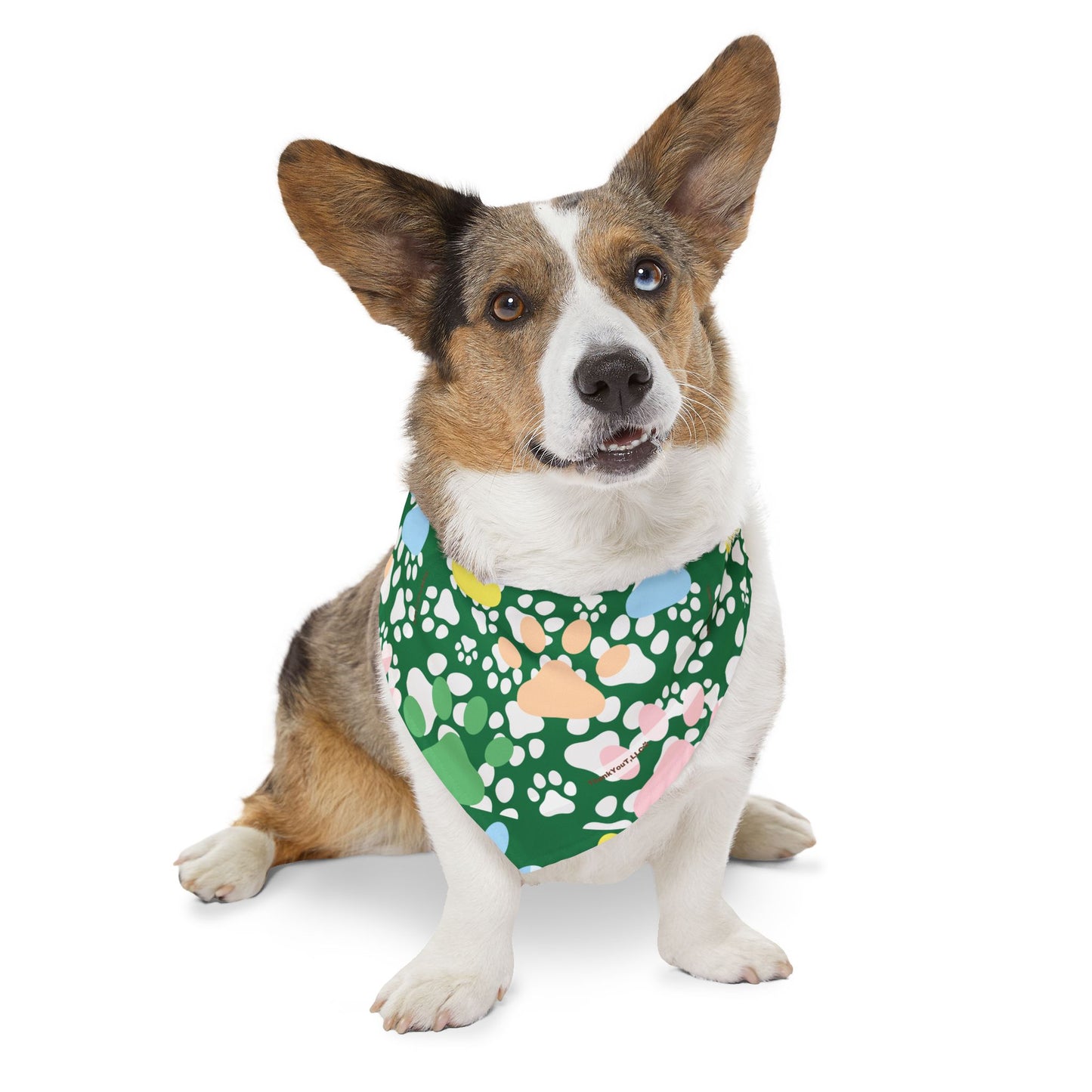 Pet Bandana Collar - Wealth