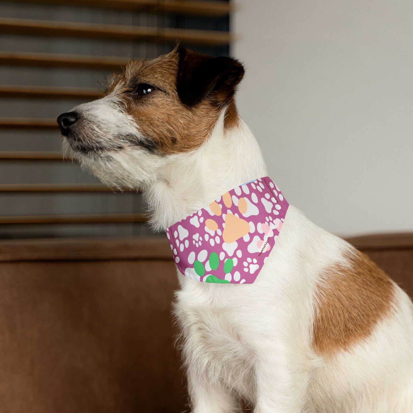 Pet Bandana Collar - Cheeky