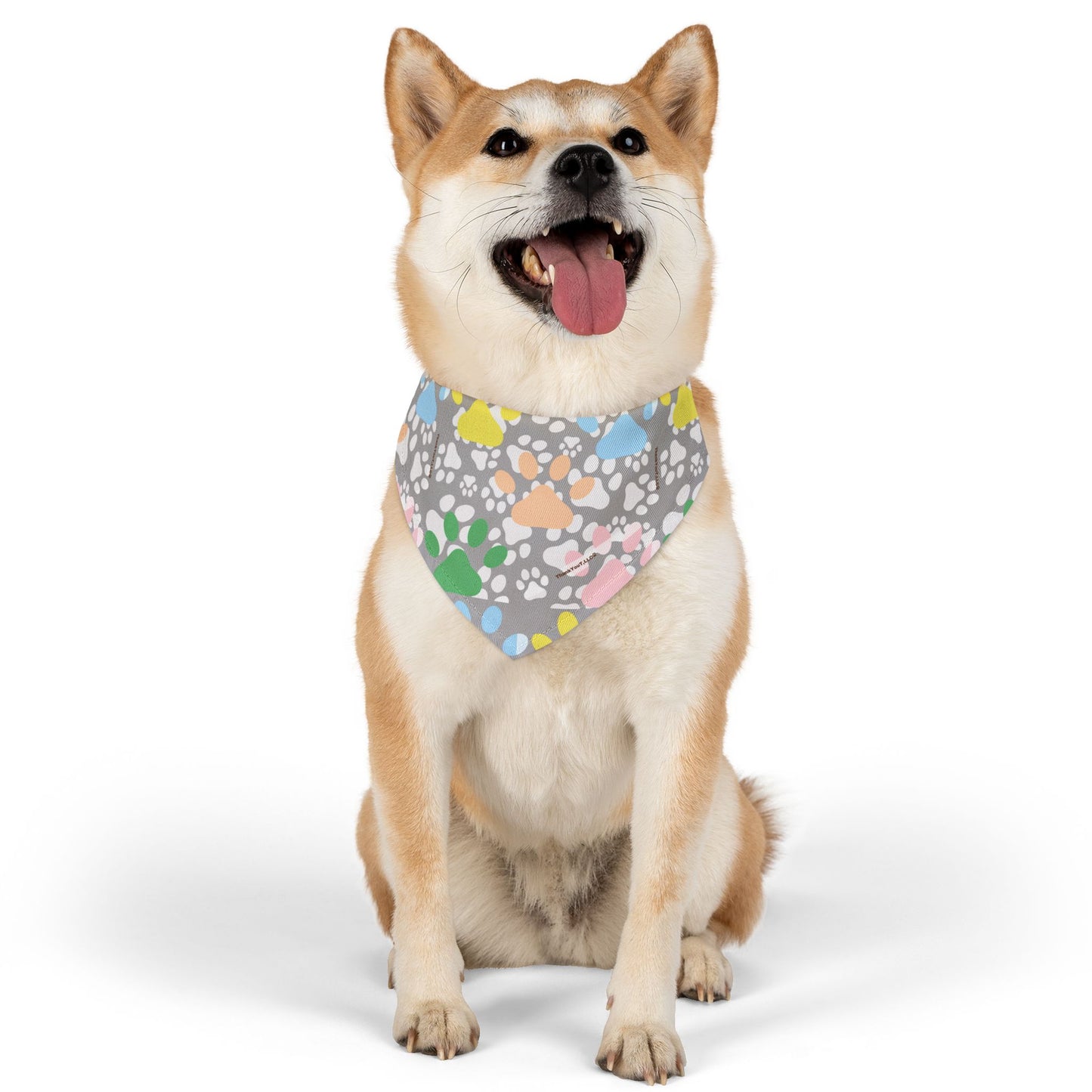 Pet Bandana Collar - Light Wisdom