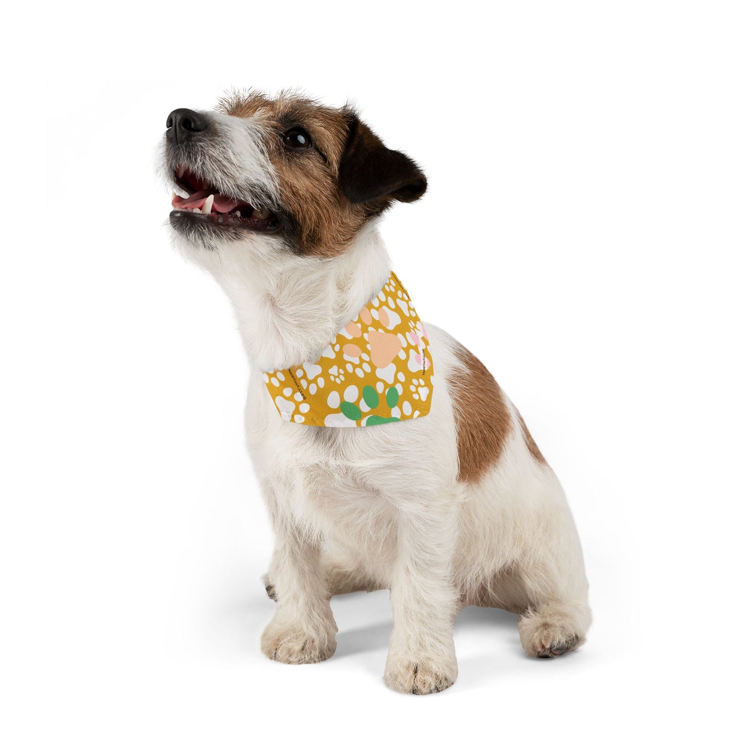 Pet Bandana Collar - Sunny