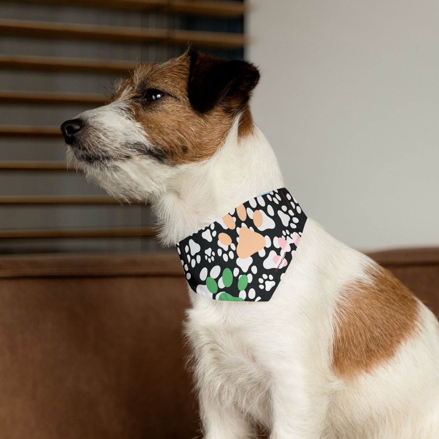 Pet Bandana Collar - Success