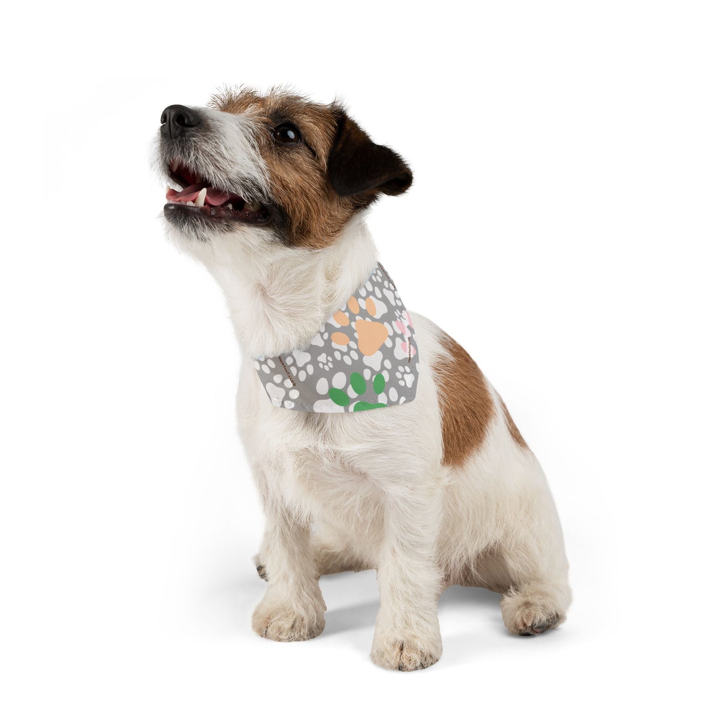 Pet Bandana Collar - Light Wisdom