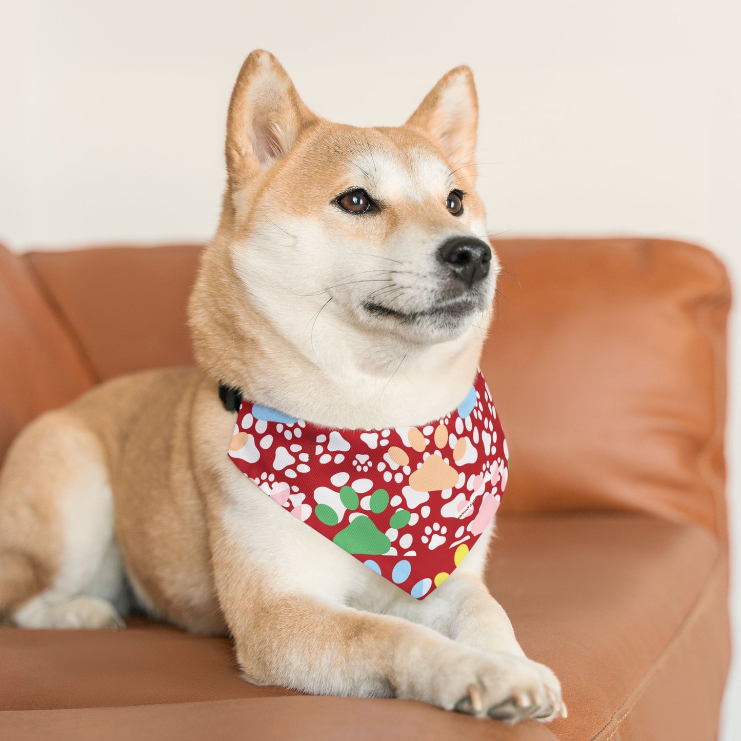 Pet Bandana Collar - Strength