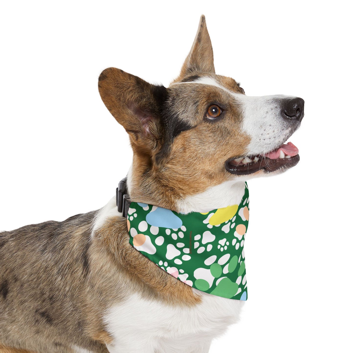 Pet Bandana Collar - Wealth
