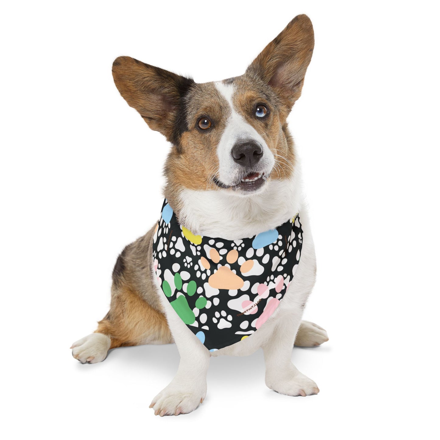 Pet Bandana Collar - Success