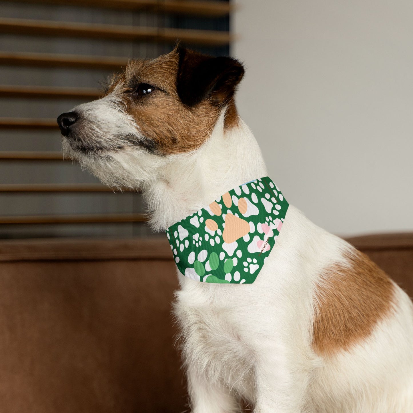 Pet Bandana Collar - Wealth