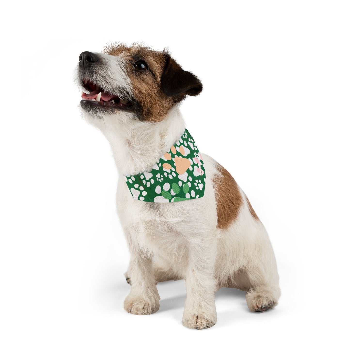 Pet Bandana Collar - Wealth