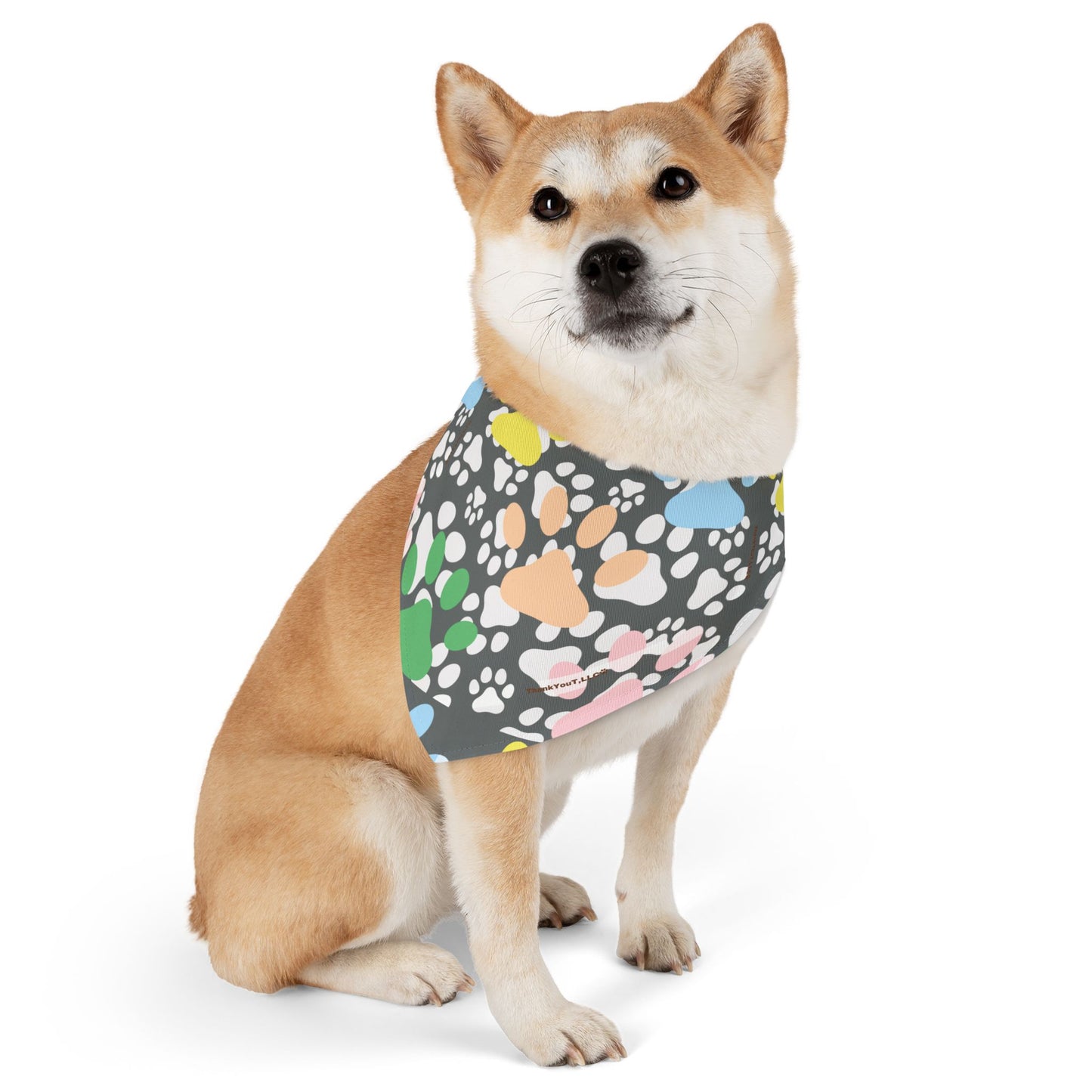 Pet Bandana Collar - Wisdom