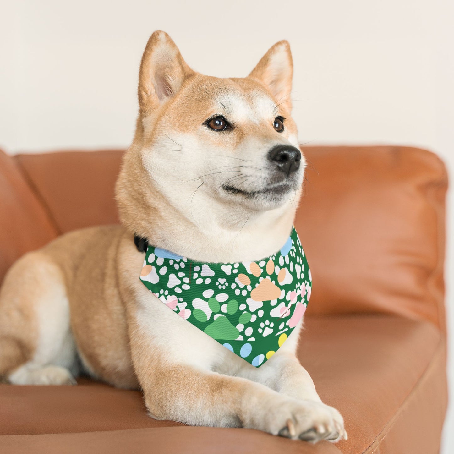 Pet Bandana Collar - Wealth