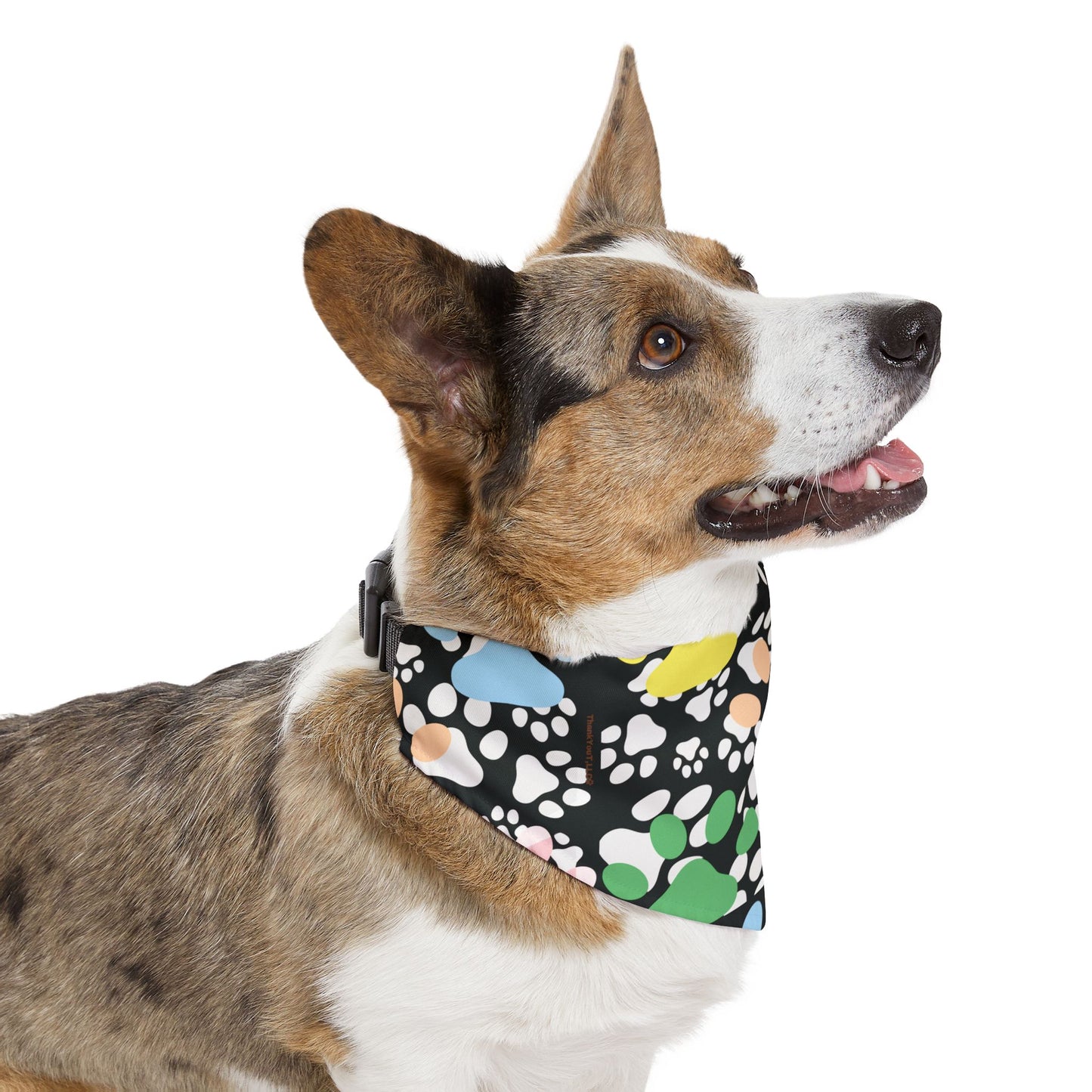Pet Bandana Collar - Success