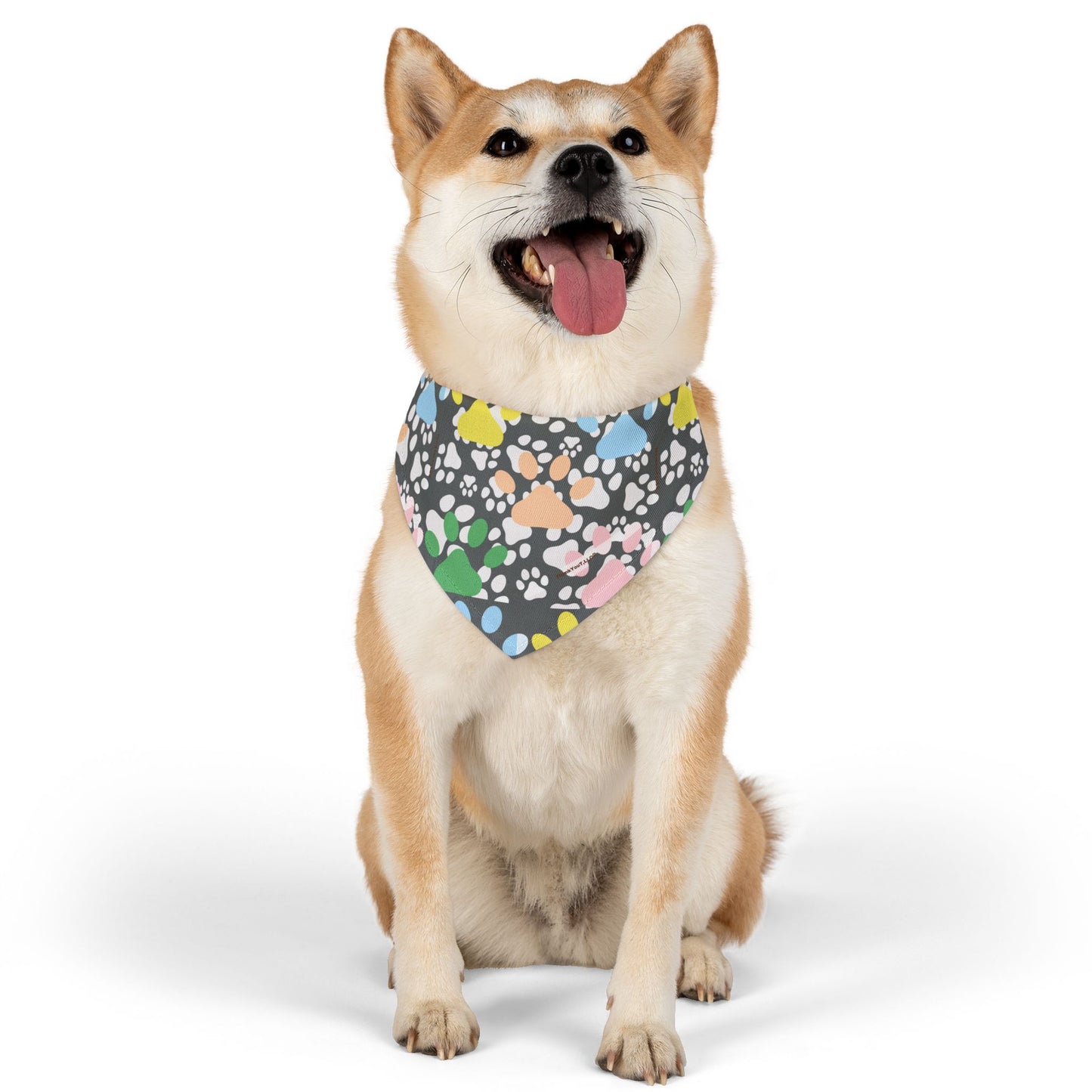 Pet Bandana Collar - Wisdom