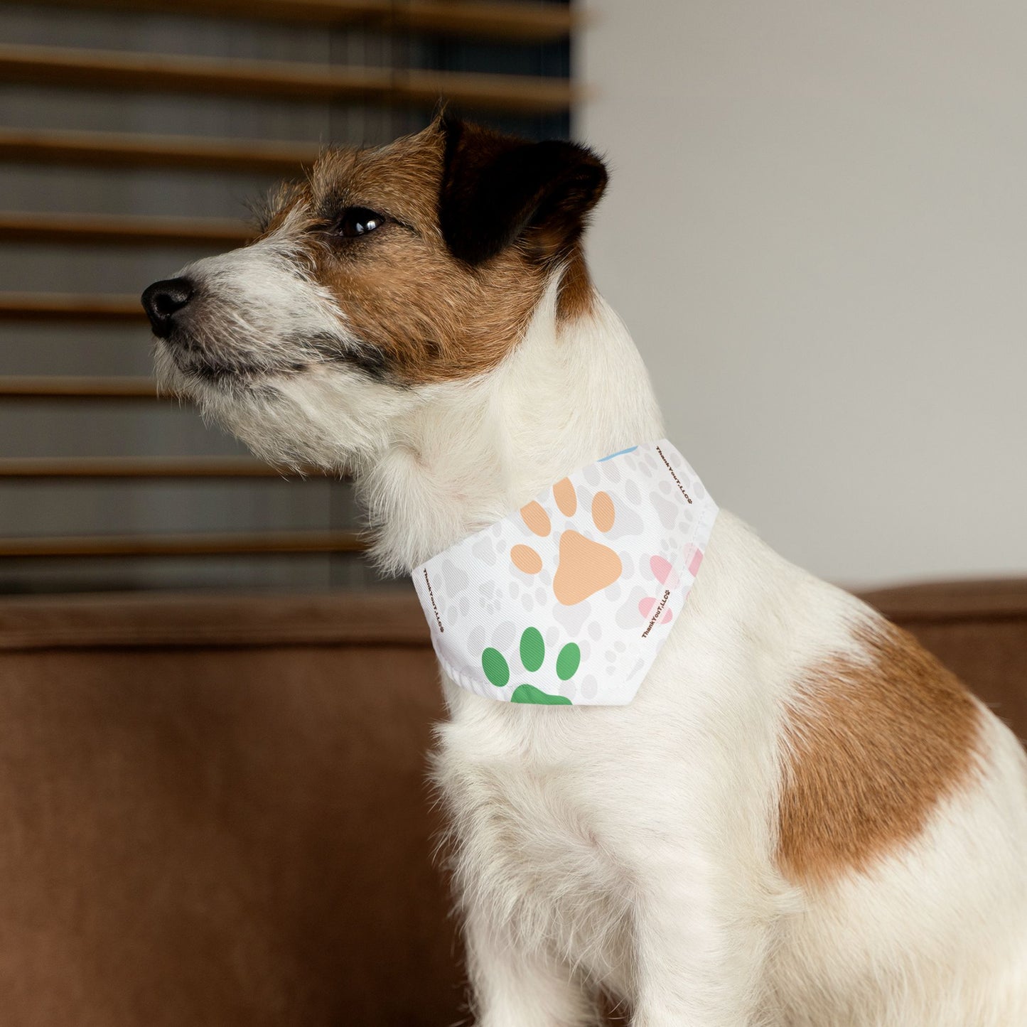 Pet Bandana Collar - Refresh
