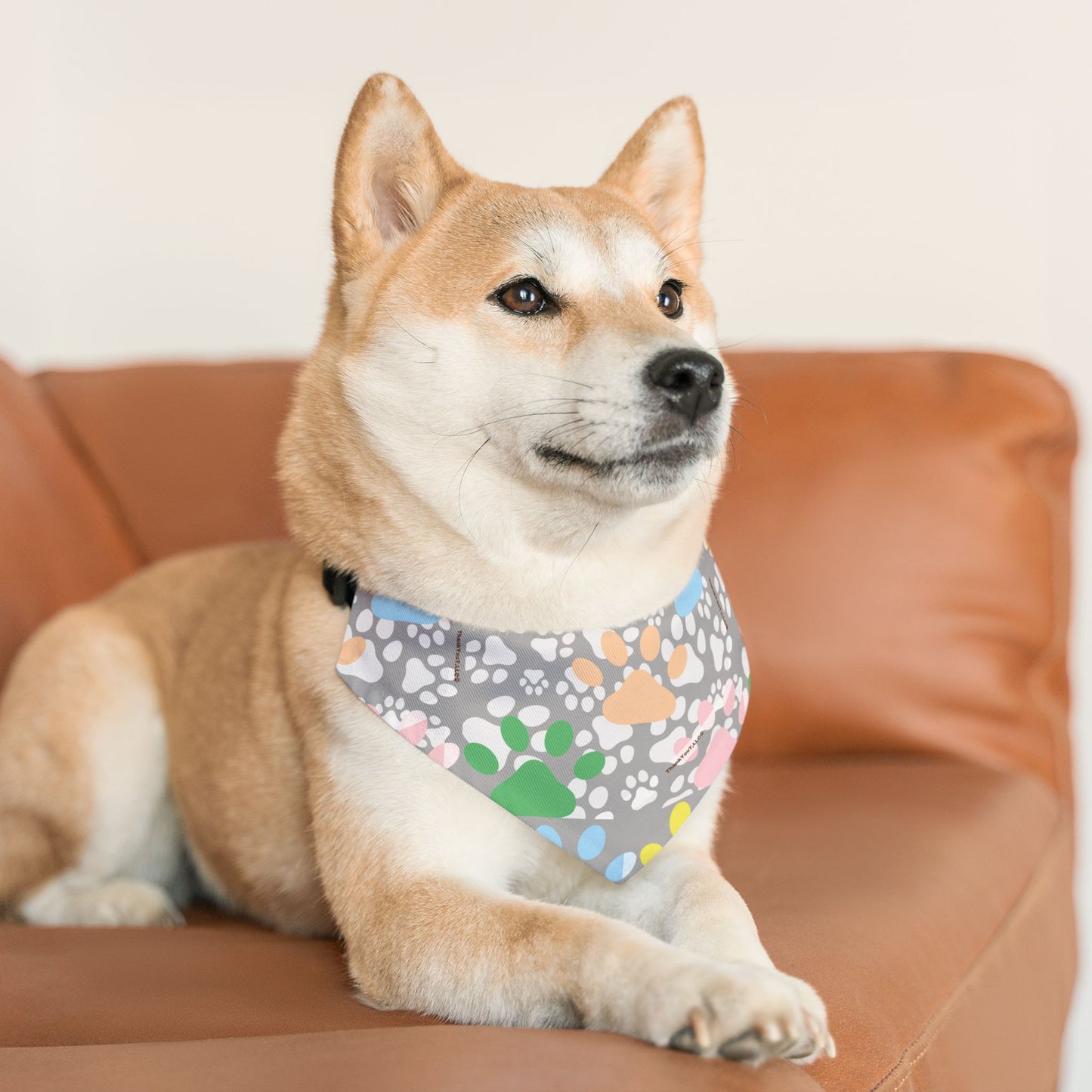 Pet Bandana Collar - Light Wisdom