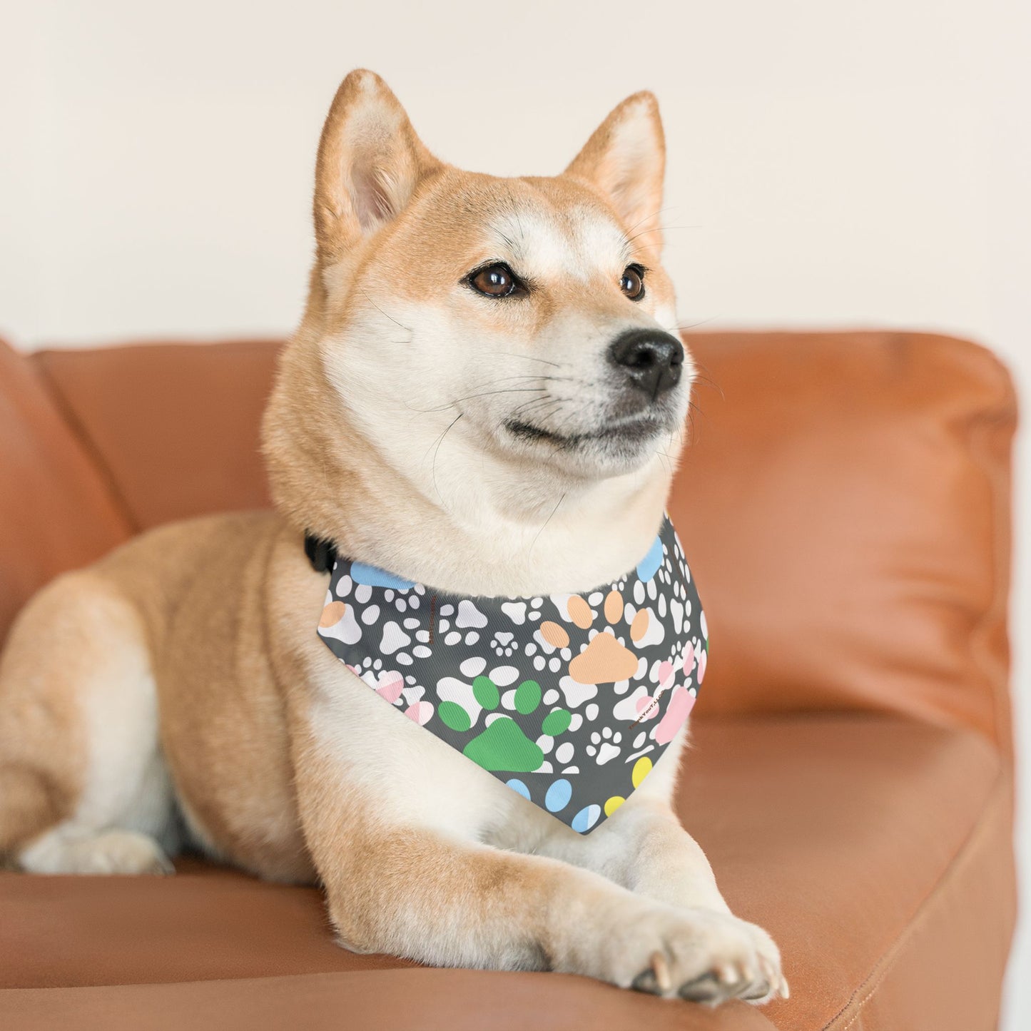 Pet Bandana Collar - Wisdom
