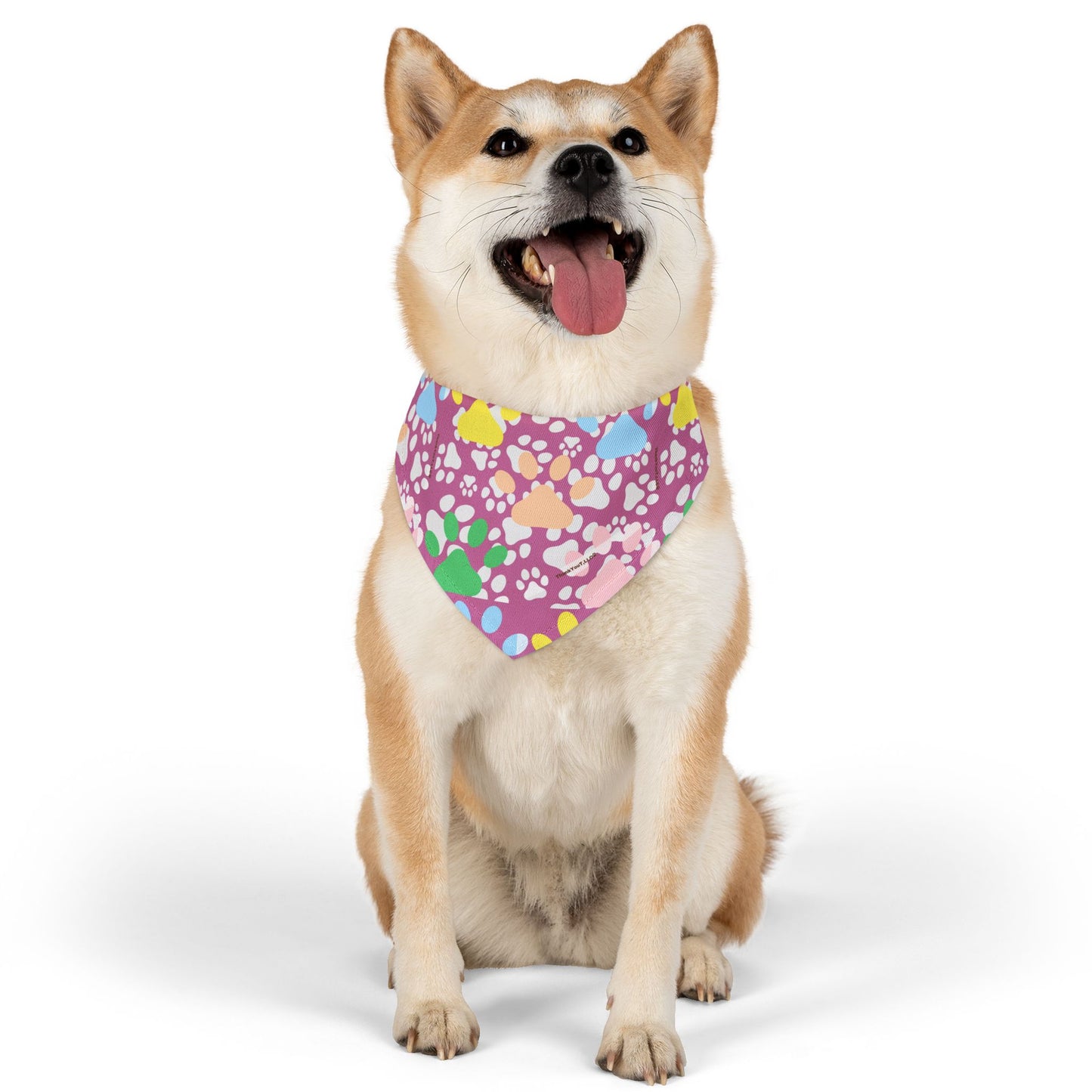 Pet Bandana Collar - Cheeky