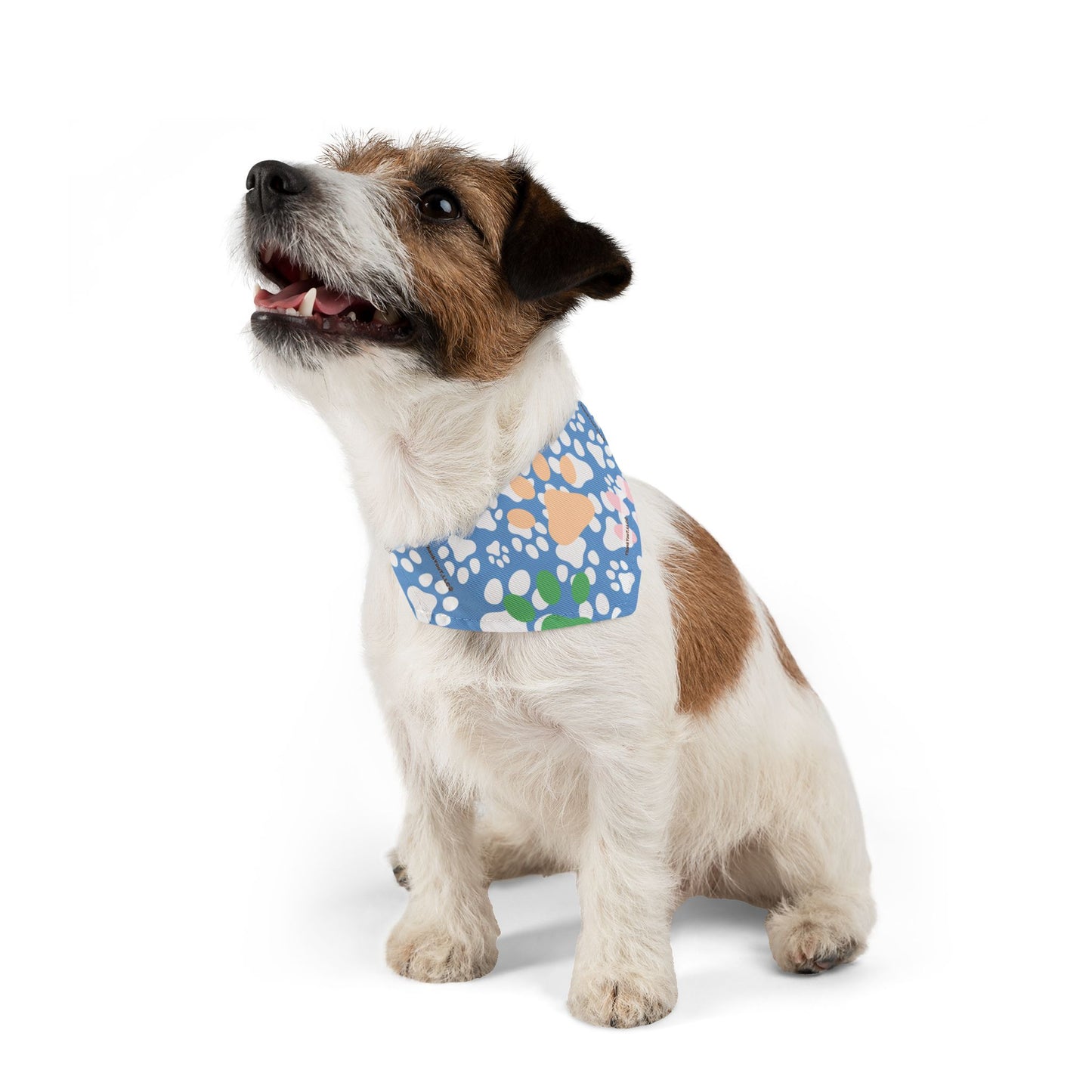 Pet Bandana Collar - Dreams