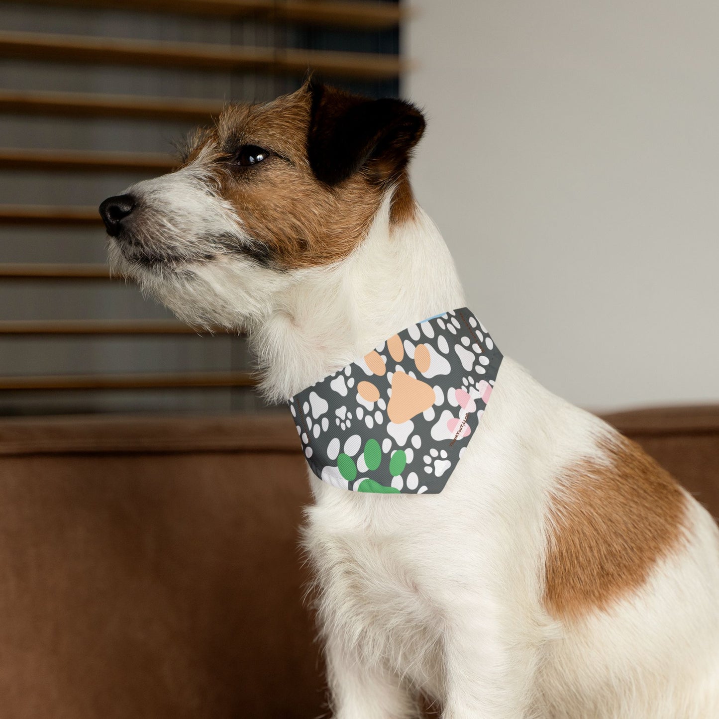 Pet Bandana Collar - Wisdom